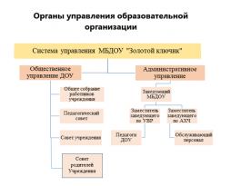 Структура и органы управления